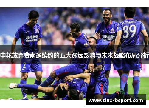 申花放弃费南多续约的五大深远影响与未来战略布局分析 申花放弃费南多续约的五大深远影响与未来战略布局分析