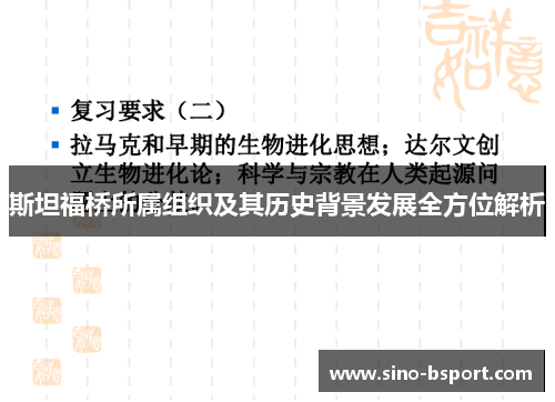 斯坦福桥所属组织及其历史背景发展全方位解析