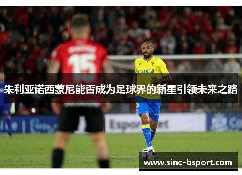 朱利亚诺西蒙尼能否成为足球界的新星引领未来之路 朱利亚诺西蒙尼能否成为足球界的新星引领未来之路