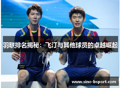 羽联排名揭秘：飞汀与其他球员的卓越崛起
